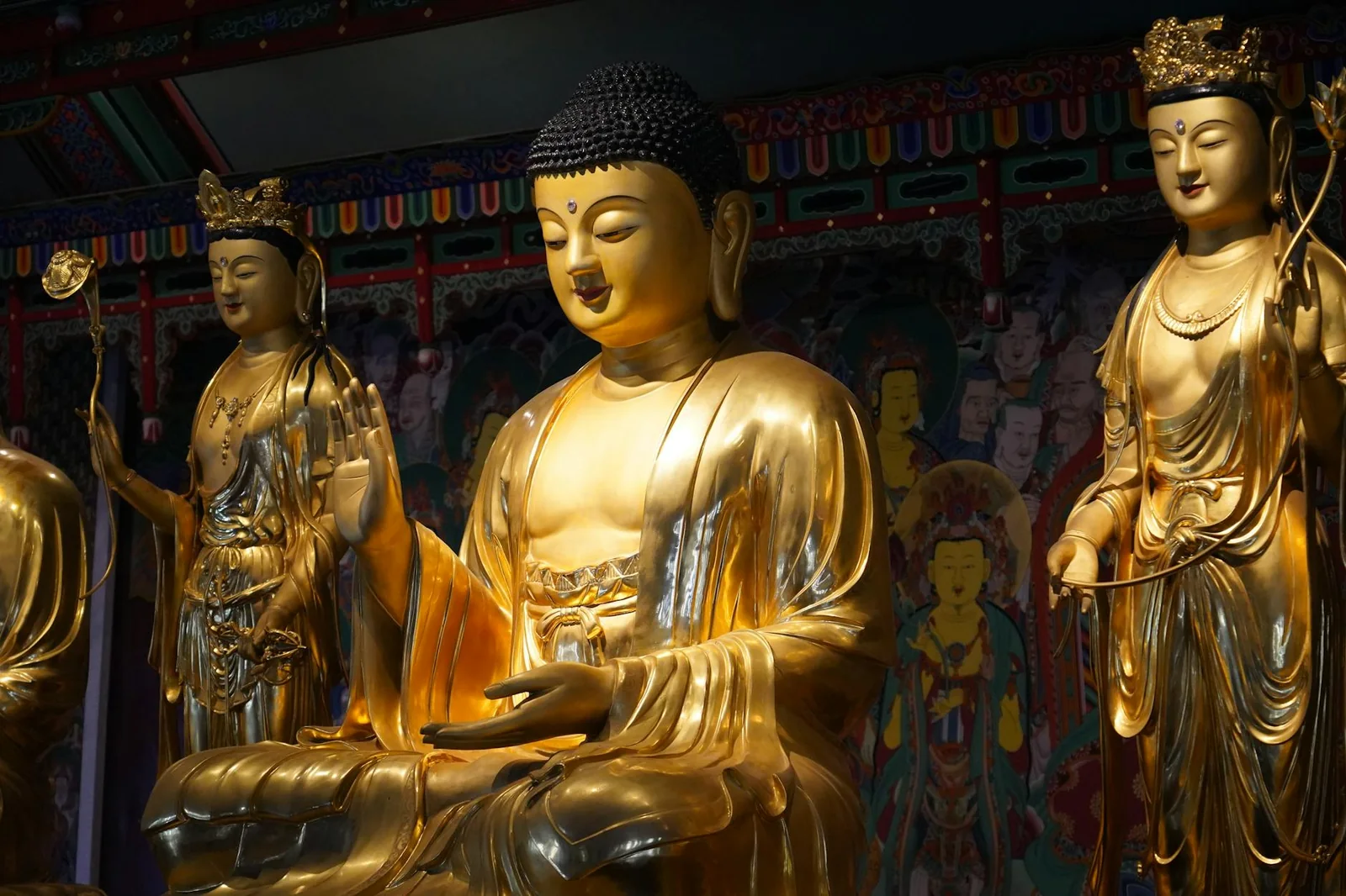 企业宣传片拍摄现场，摄影师正在调试摄像机与灯光设备
